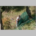 127 ... hoch ....JPG 127 ... hoch ....JPG